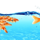 shutterstock_1315920878