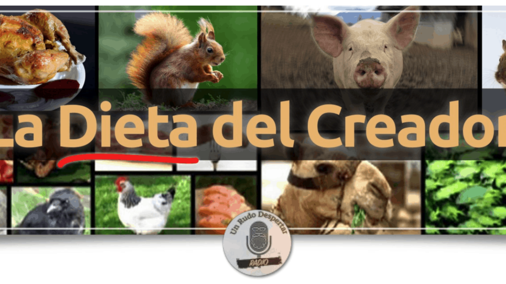 La dieta del Creador