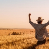 Proud happy victorious wheat farmer with hands raised in V shape celebrating success and abundant yield of ripe cereal crops ready for harvest