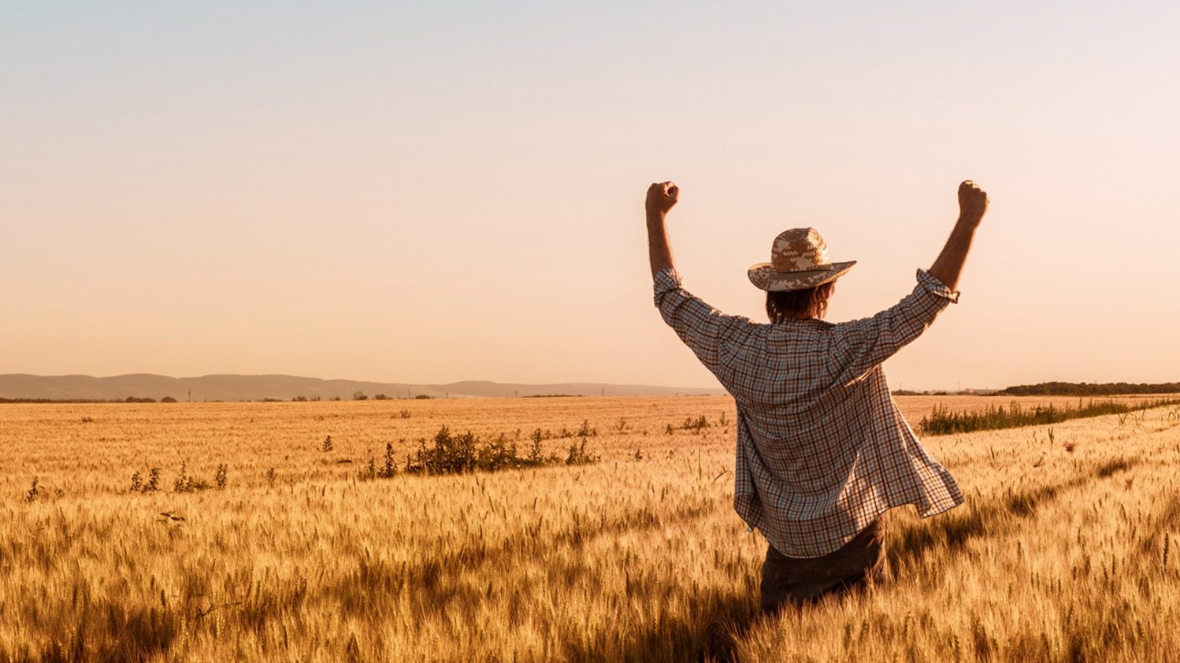 Proud happy victorious wheat farmer with hands raised in V shape celebrating success and abundant yield of ripe cereal crops ready for harvest