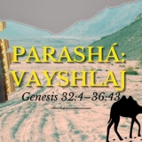 Blog vaYshlaj [cabecera] - 1