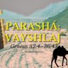Parashá VaYshlaj