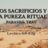 Parashá Tzav – Los Sacrificios y la Pureza Ritual<br>Levítico 6:8 – 8:36