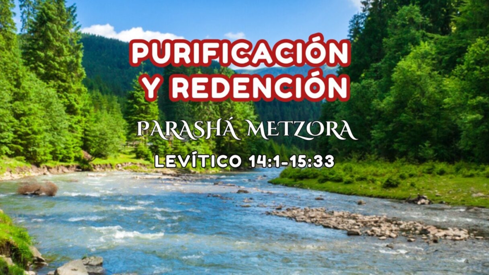 Header Metzora