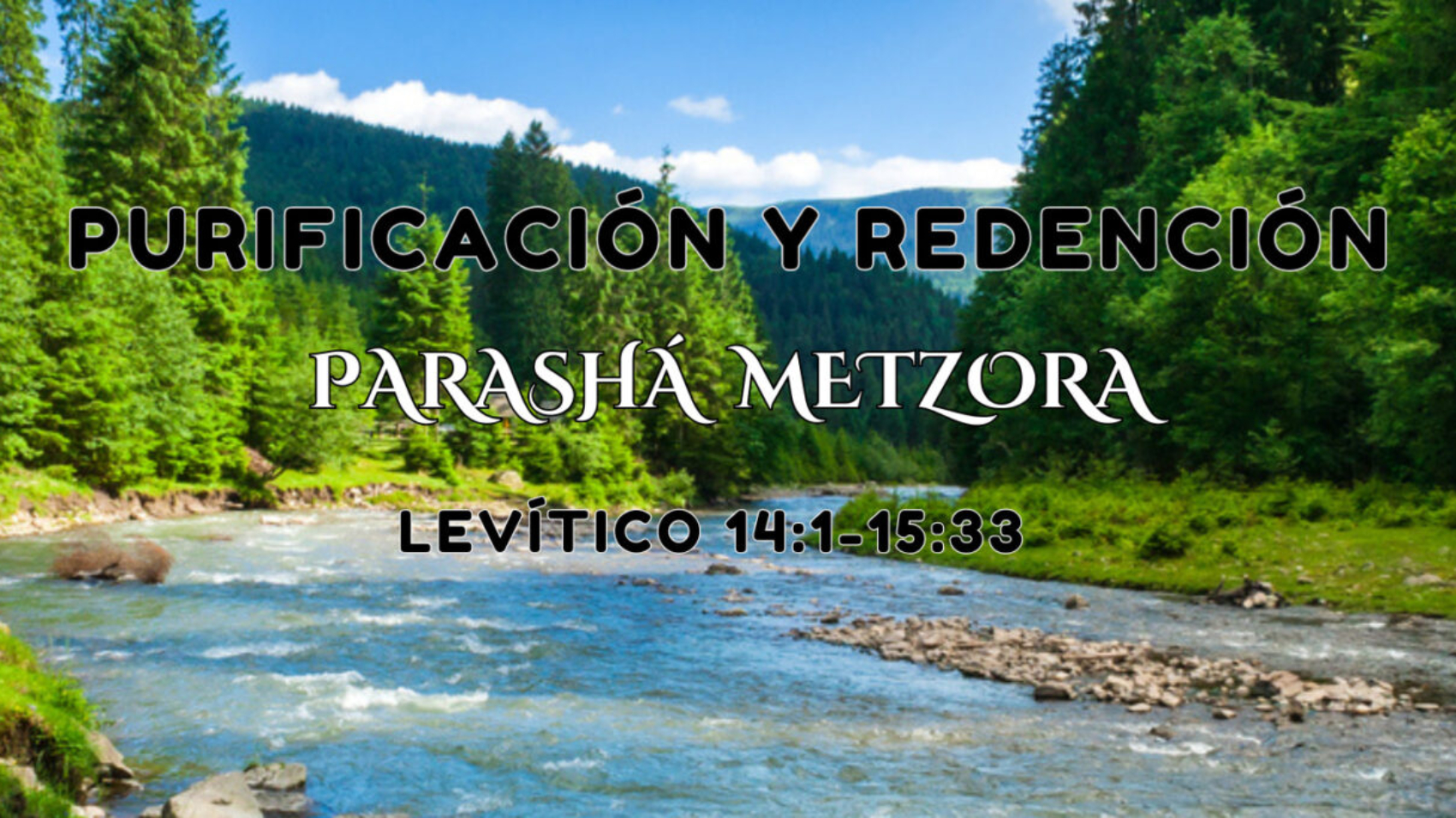 Header of Parashá Metzora (1)