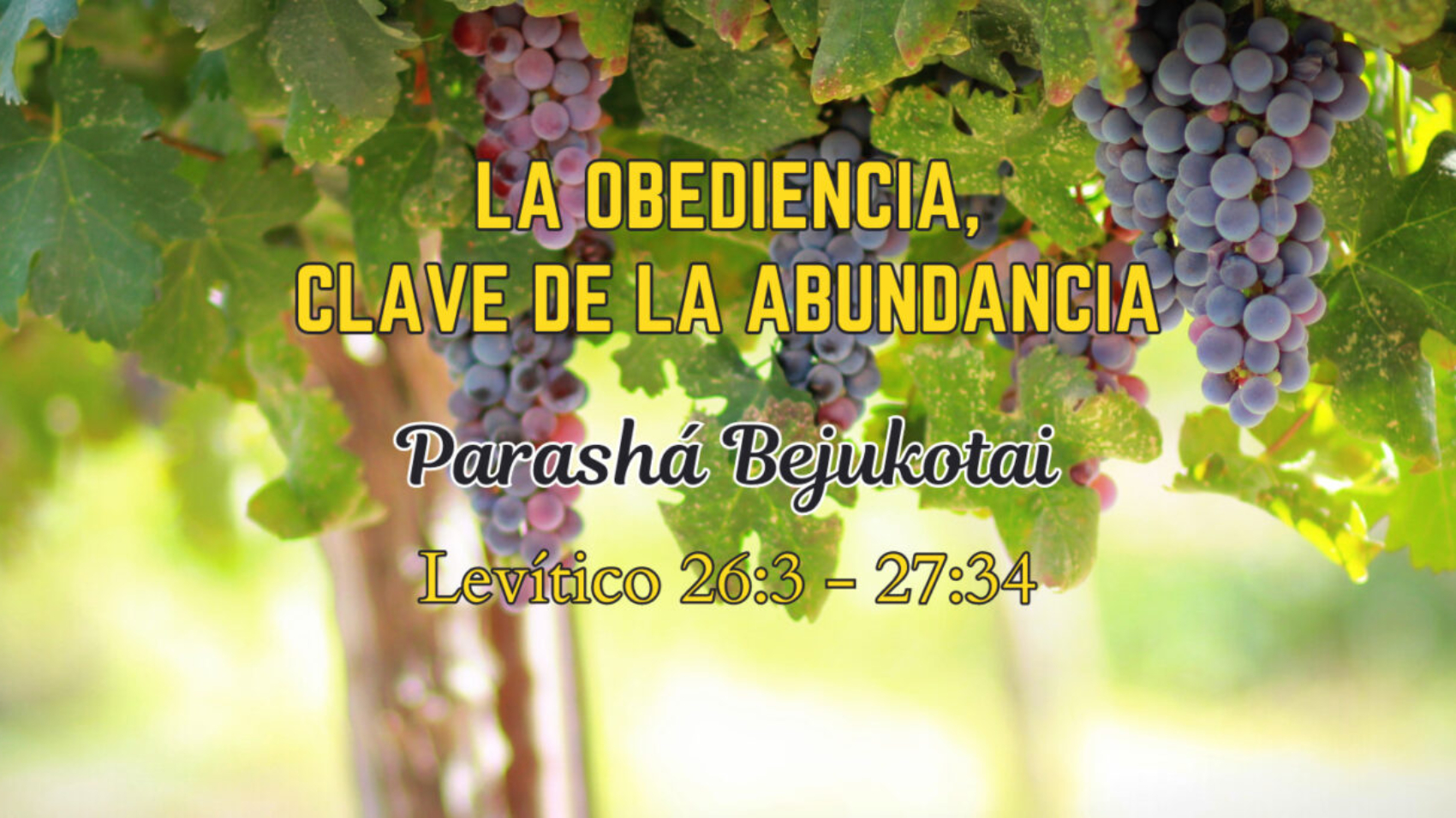 Header of Parashá Bejukotai