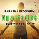 Parashá Kadoshim [cabecera]